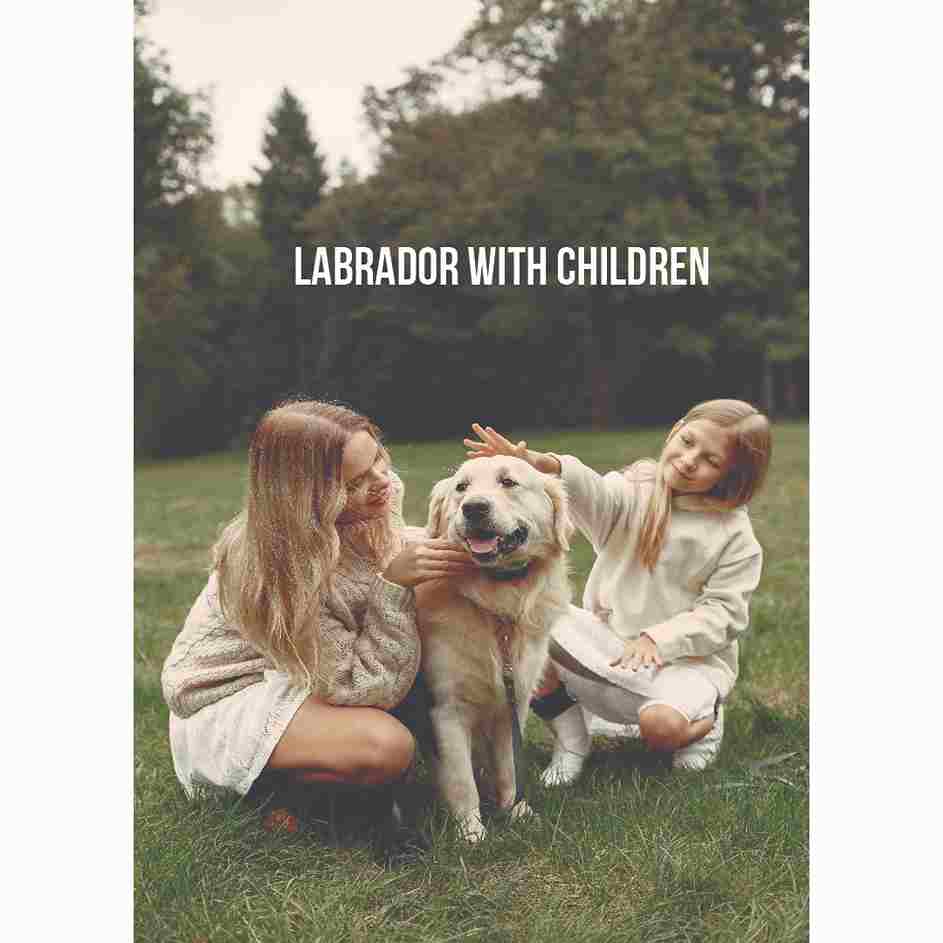 Labrador with children